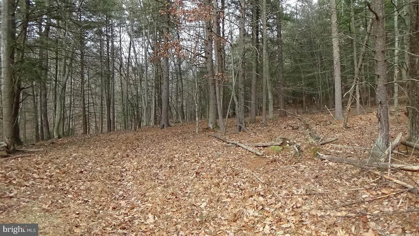 Lot 3 Veterans Way, Elliottsburg, PA, 17024