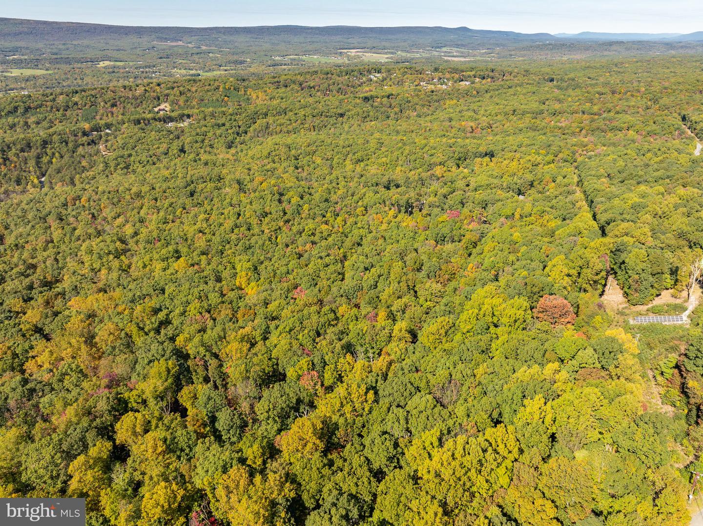 Buck Hill Rd, Gerrardstown, West Virginia image 6