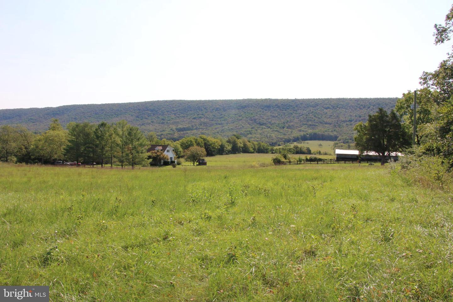 Zepp Road, Maurertown, Virginia image 6