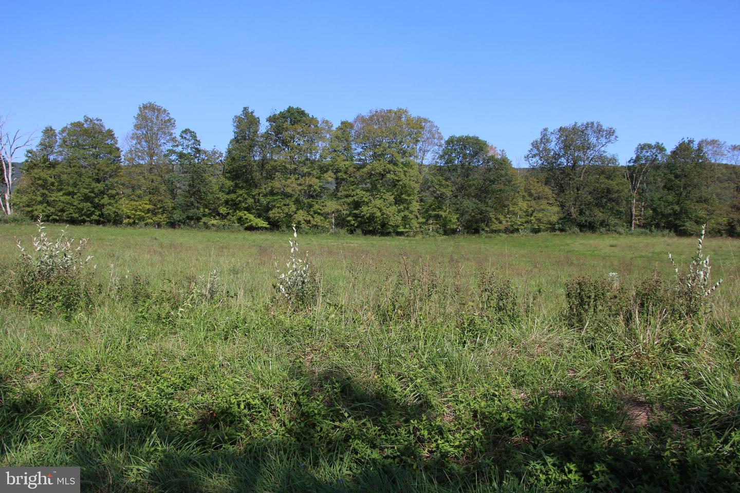 Zepp Road, Maurertown, Virginia image 15