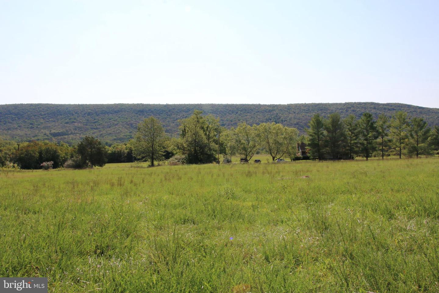 Zepp Road, Maurertown, Virginia image 8