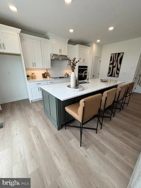 109 Camryn Court, Downingtown, PA, 19335
