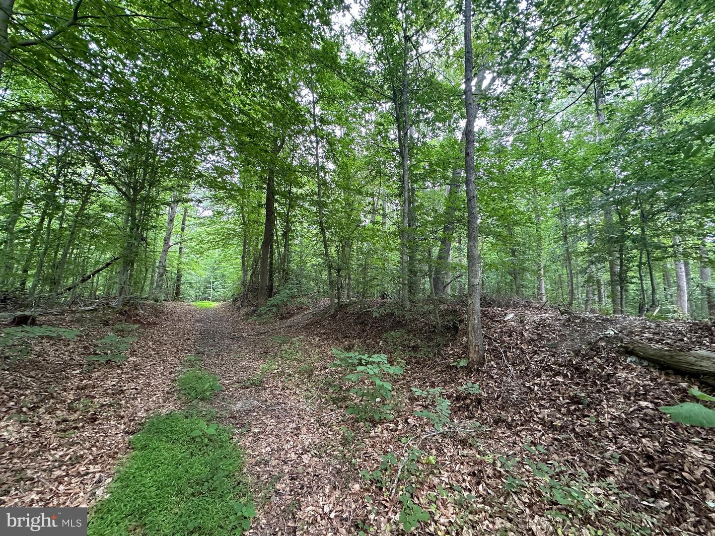 View Dumfries, VA 22025 property