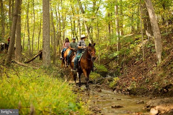 S Fort Valley Road, Fort Valley, Virginia image 9