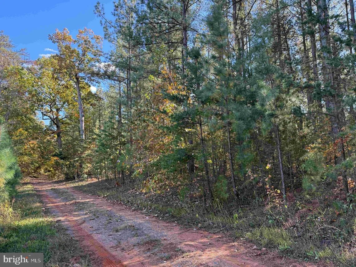 Off Of Shores Road (tract: Tanager Et2 2020) Rd