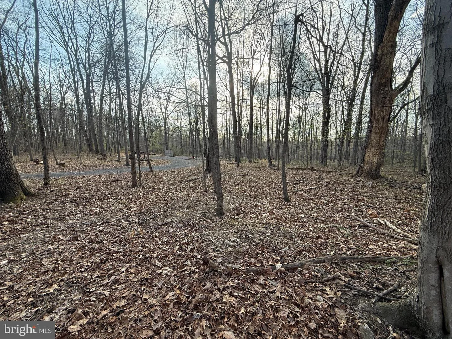 810 W Watersville Road