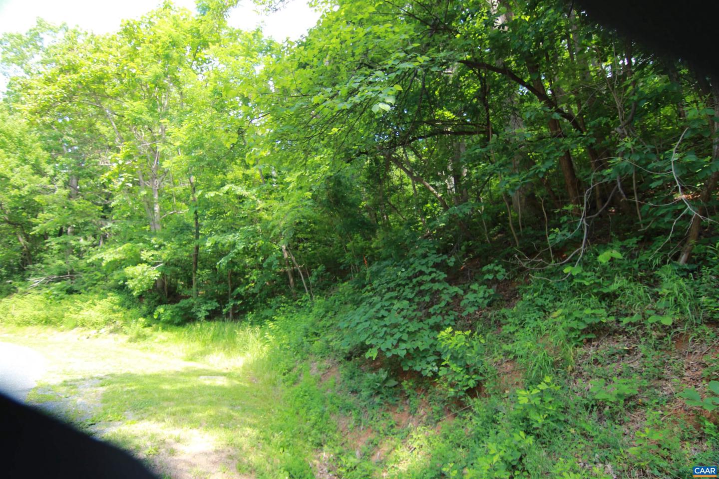 1757 Black Walnut Dr Unit G54, Nellysford, VA, 22958