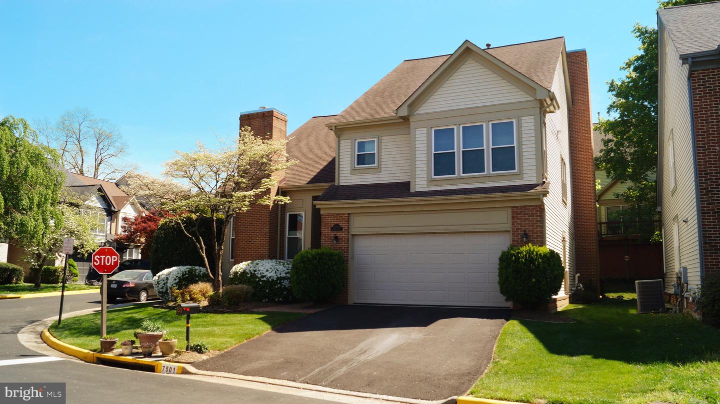 7501 Silver Maple