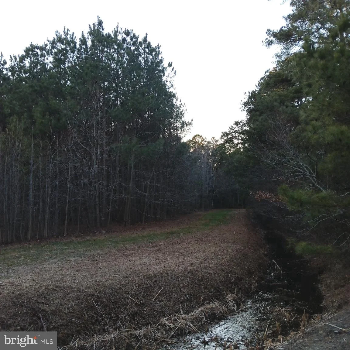 0 Upper Ferry Road, Eden, MD, 21822