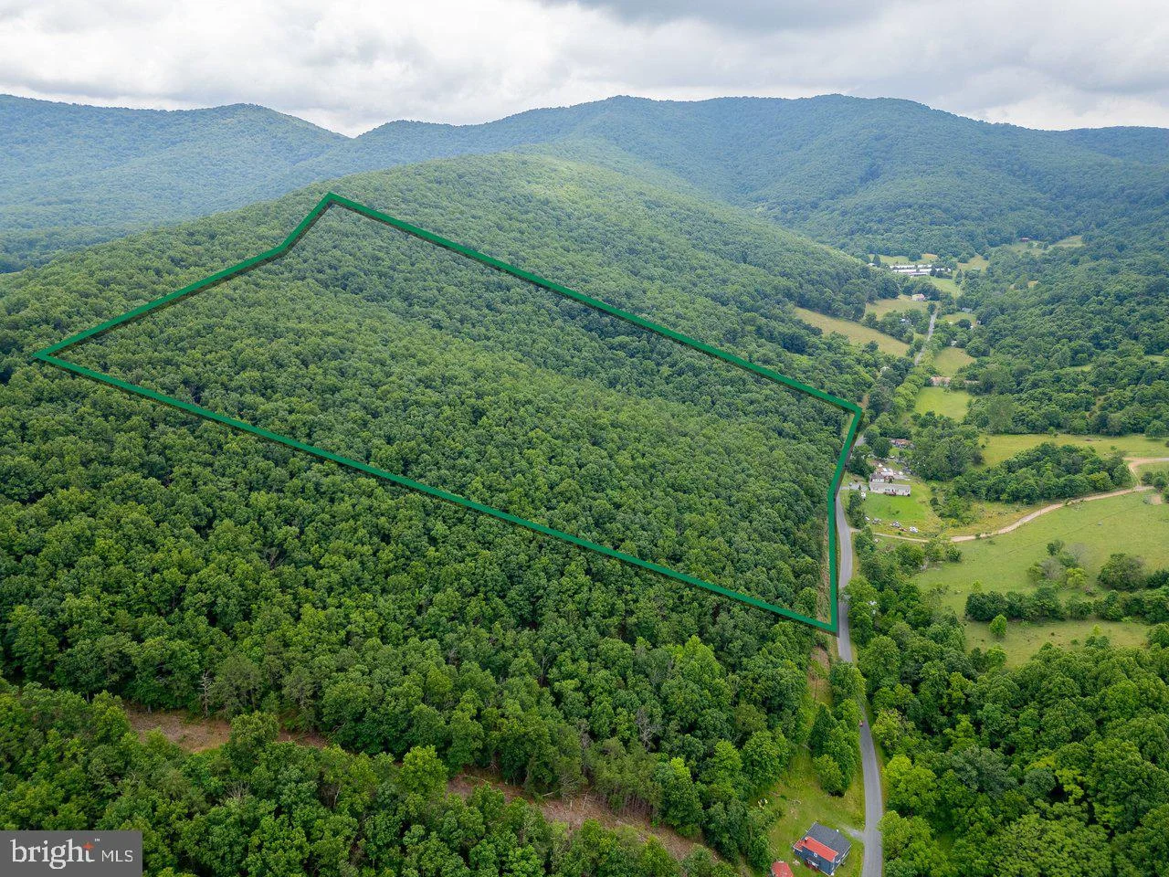 Cubbage Hollow Rd, Lot 75 - 40.55 Acres