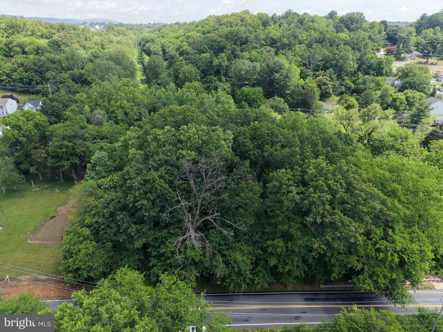 .30+/- ACRES W Potomac St St, Brunswick, MD, 21716