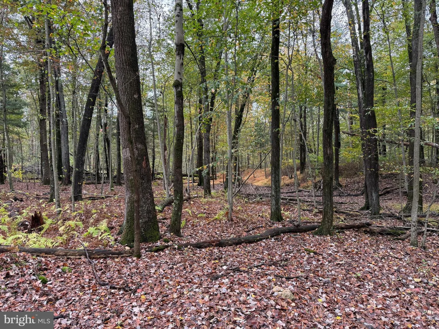E Locust St, Mount Holly Springs, PA, 17065