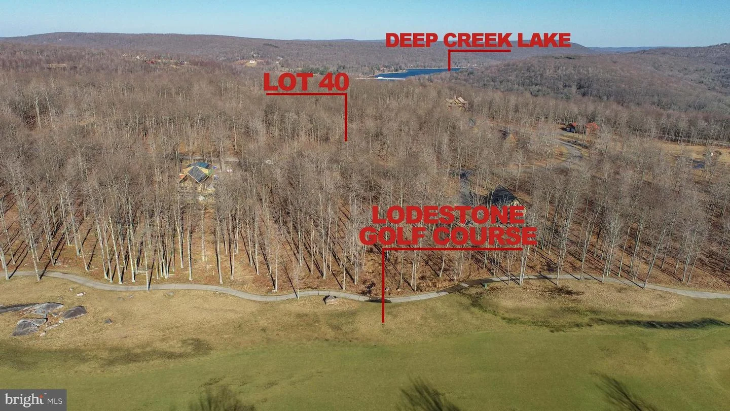 40 Fern Loop