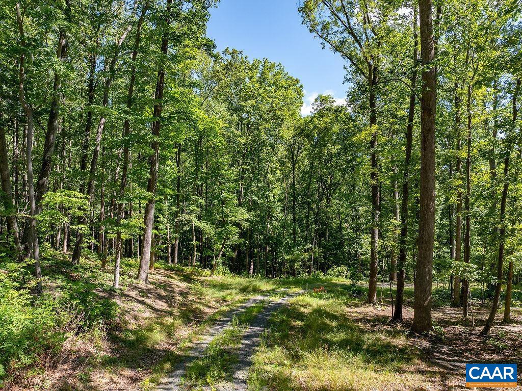 LOT H-8 Hightop Dr, North Garden, Virginia image 11