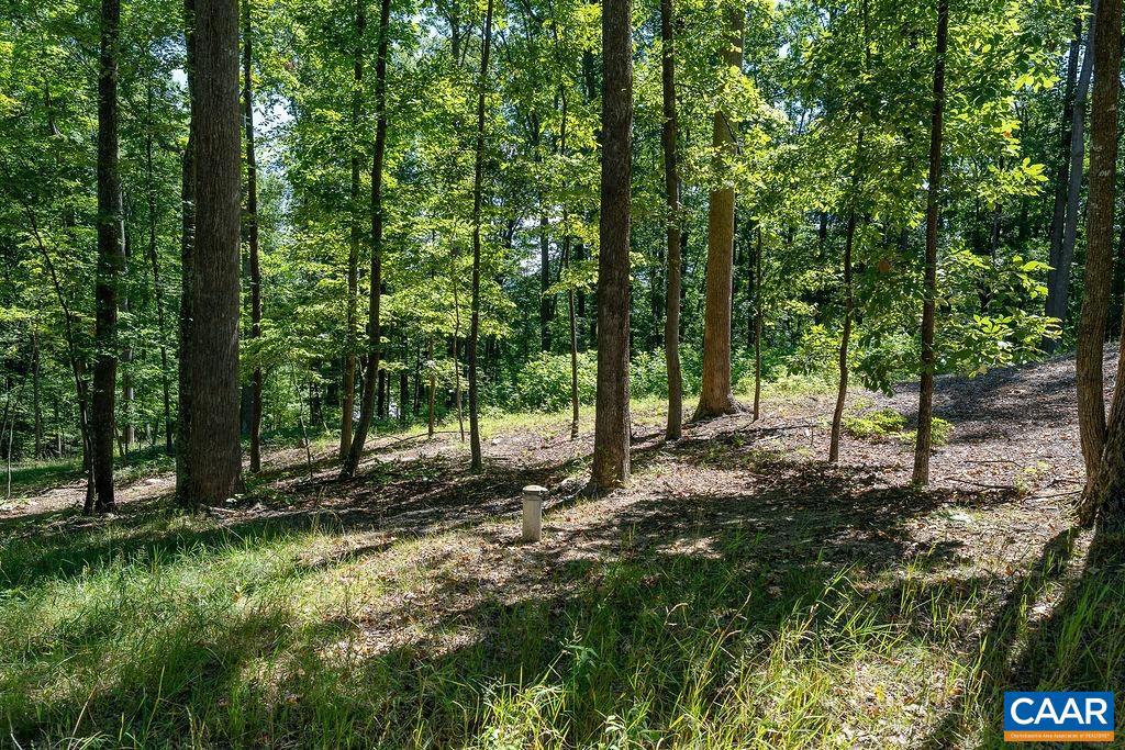 LOT H-8 Hightop Dr, North Garden, Virginia image 15