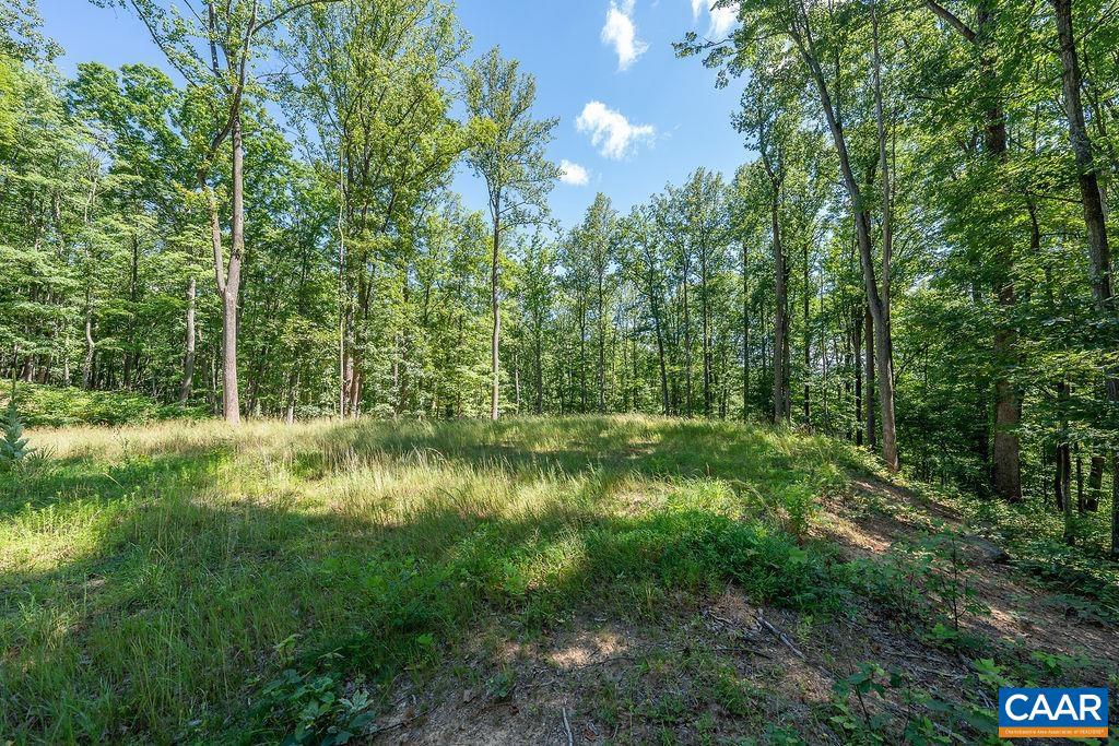 LOT H-8 Hightop Dr, North Garden, Virginia image 14