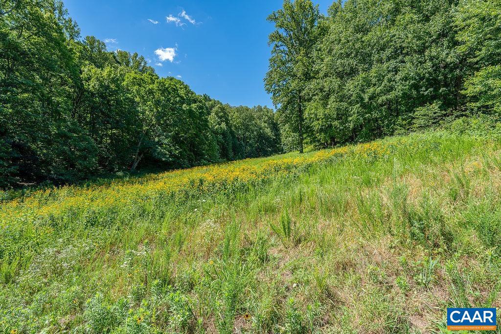 LOT H-8 Hightop Dr, North Garden, Virginia image 21