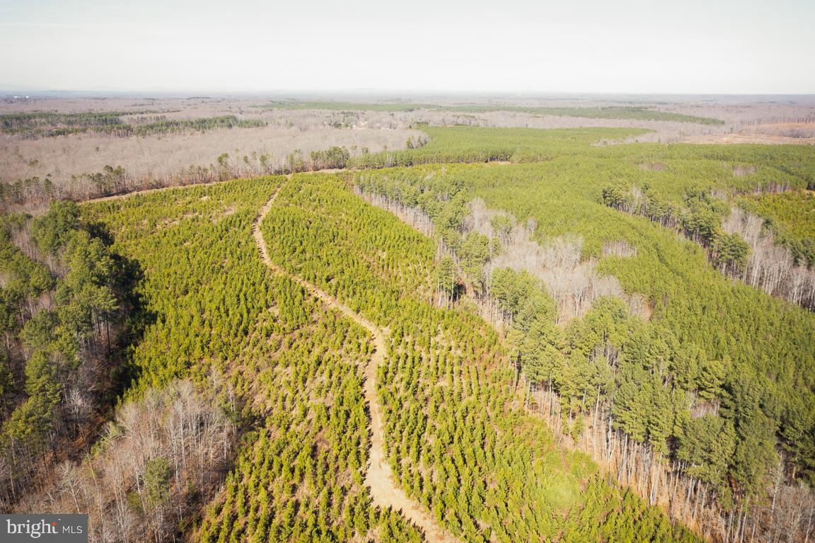 Lot 1 Yellowbottom Road, Lignum, Virginia image 7