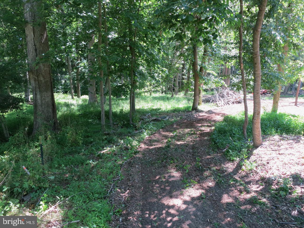 Photo 11 of 25 of 130 Awkard Ln land