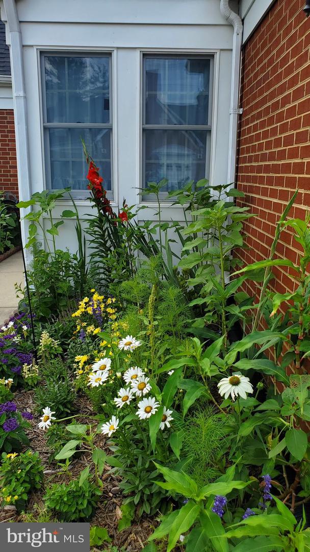 Photo 3 of 21 of 25 E Village Rd townhome