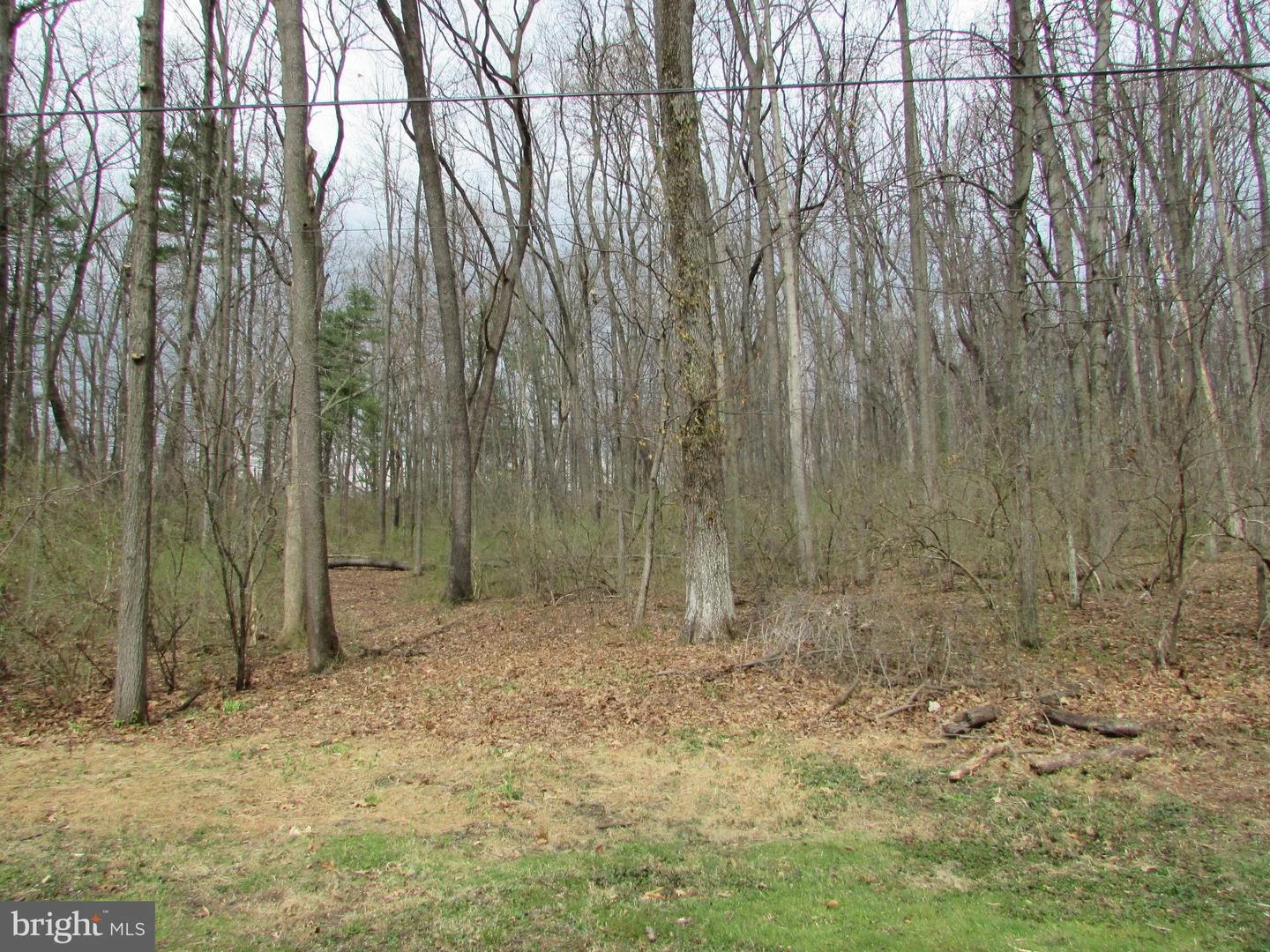 200 Tall Oaks Drive Dr