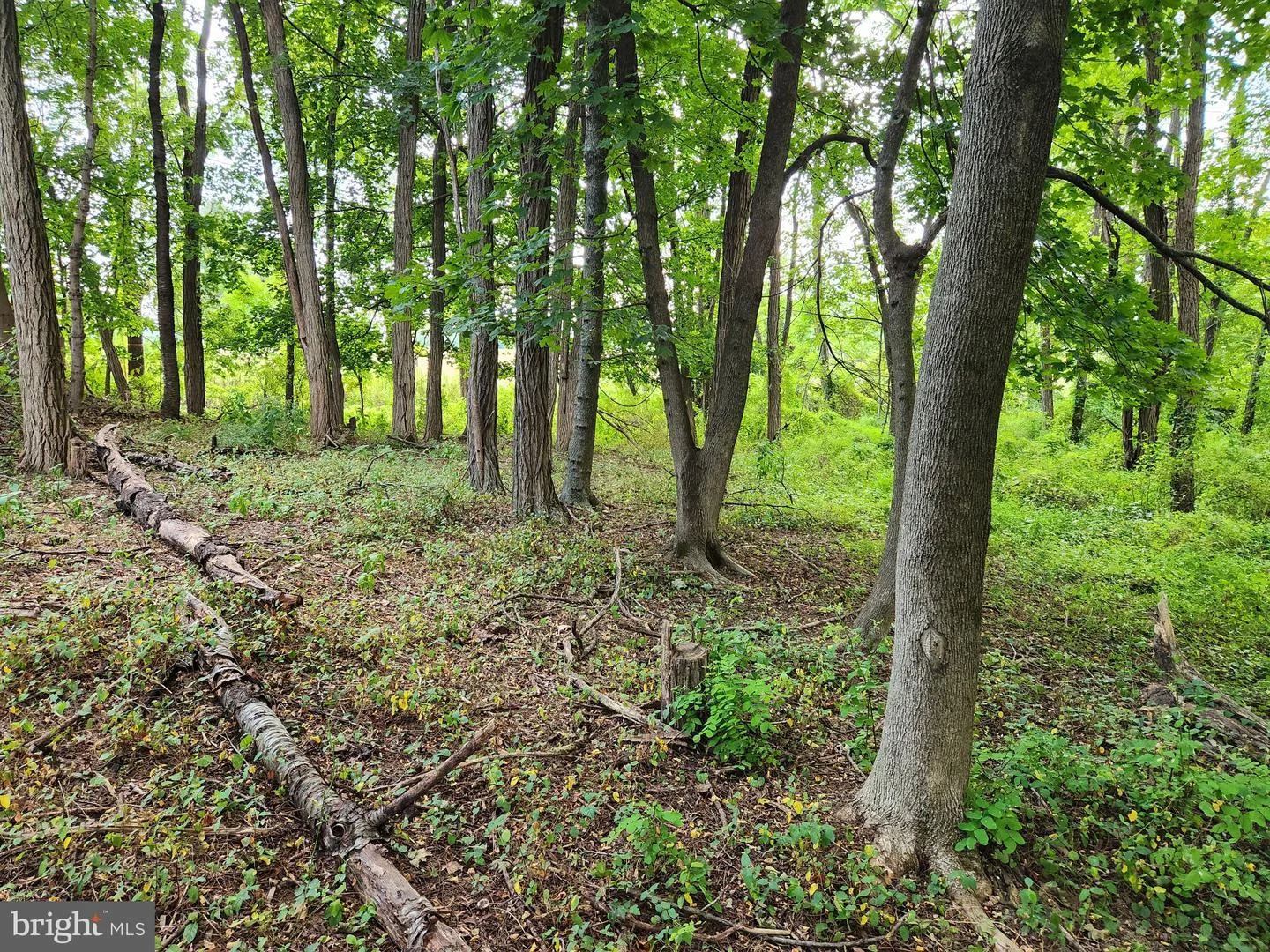 485 Hershey Road