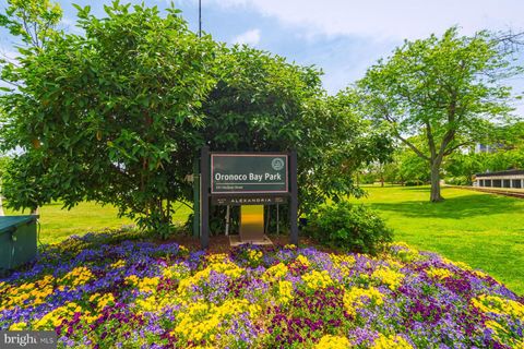 Townhouse in Alexandria VA 1117 Powhatan STREET 27.jpg