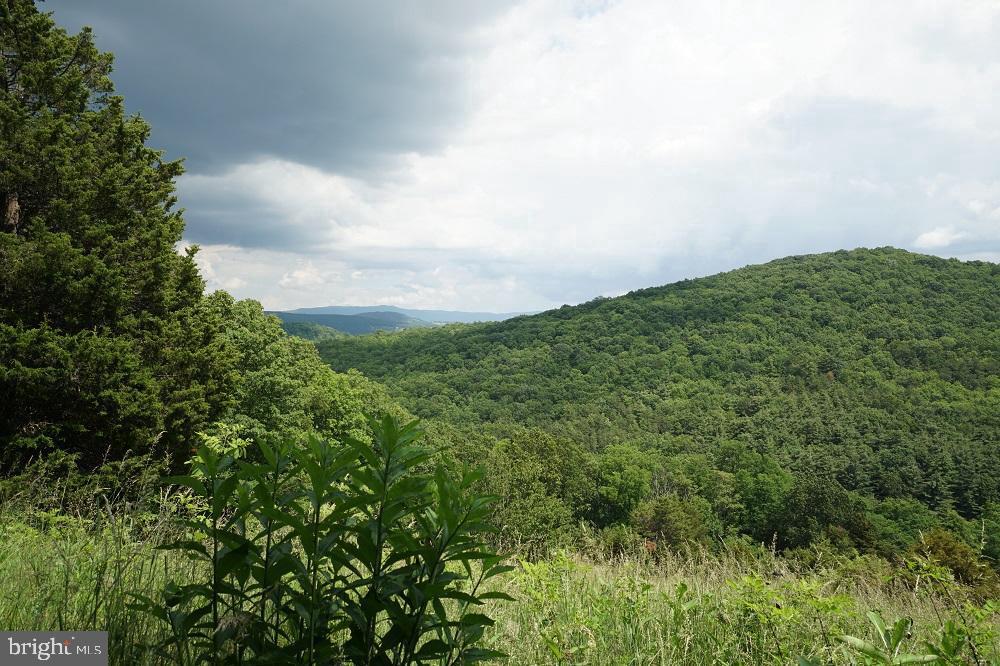 Route 2/2- Off Of Sandy Ridge Rd, Franklin, West Virginia image 40