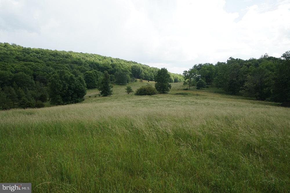 Route 2/2- Off Of Sandy Ridge Rd, Franklin, West Virginia image 35