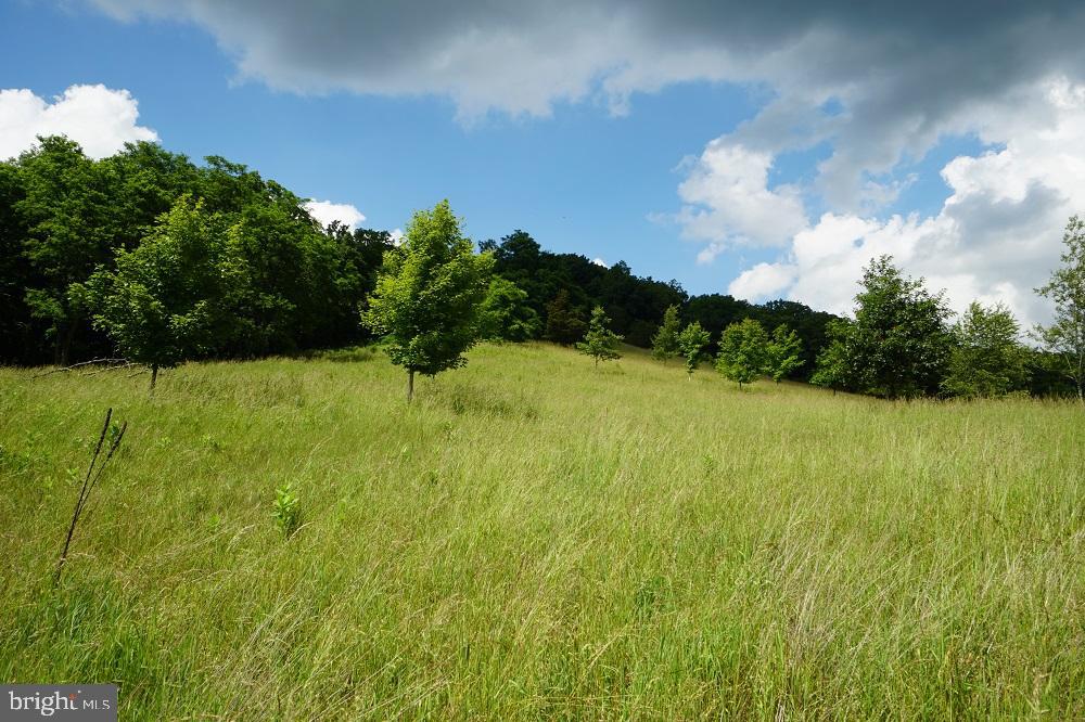 Route 2/2- Off Of Sandy Ridge Rd, Franklin, West Virginia image 34