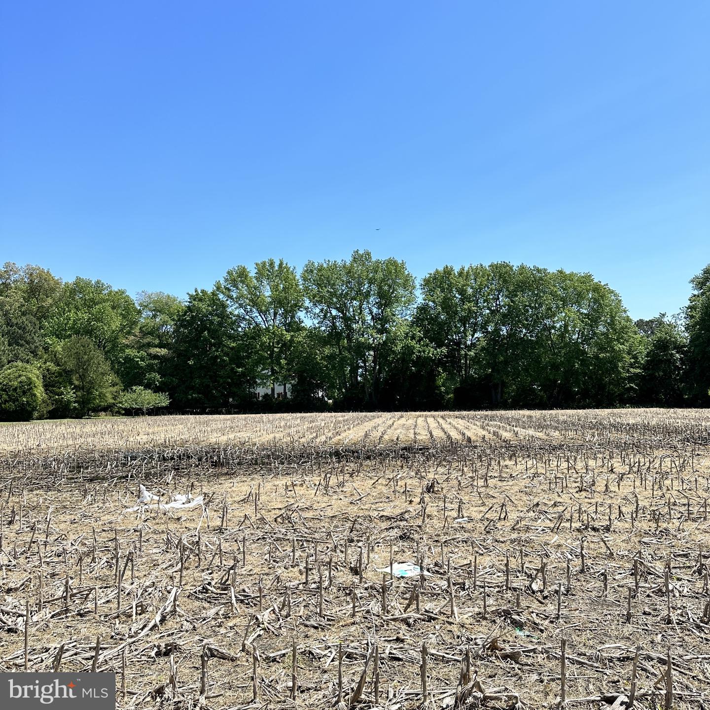 View Selbyville, DE 19975 land