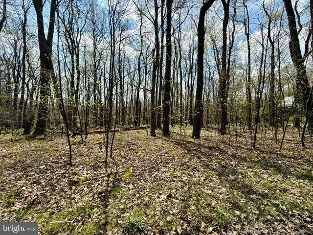 Lot 13 Timerman Road, Claysburg, PA, 16625