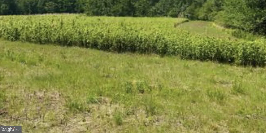 Lot 11 Kings Highway