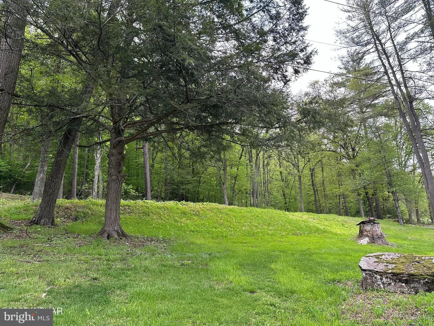1570A West Side Road Rd, Jersey Shore, PA, 17740