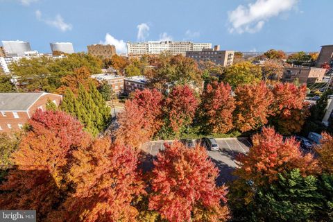 Condominium in Arlington VA 1245 Pierce STREET 37.jpg