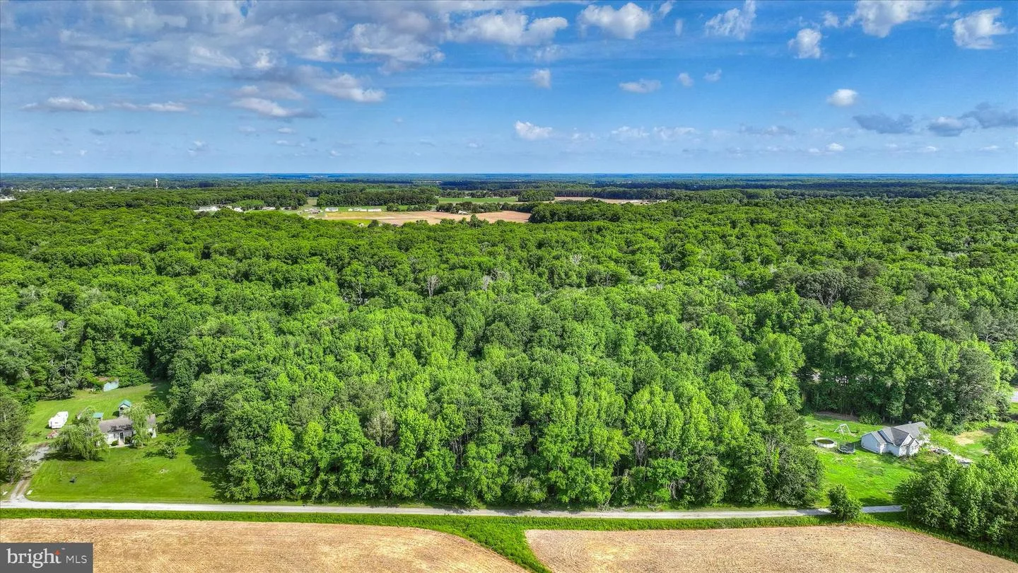 Lots 3 & 4 Bell Lane, Whaleyville, MD, 21872
