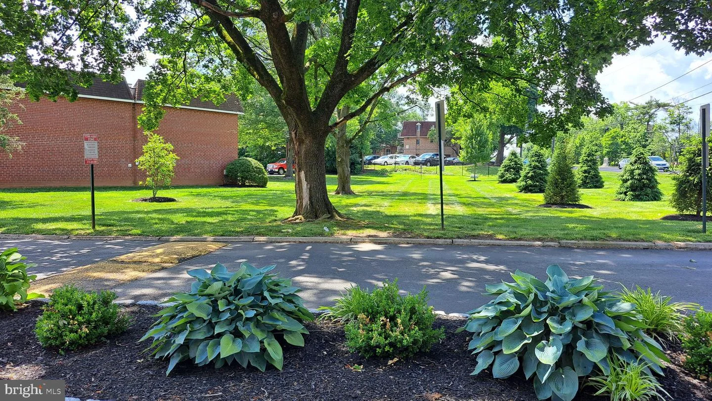 205 Saratoga Court