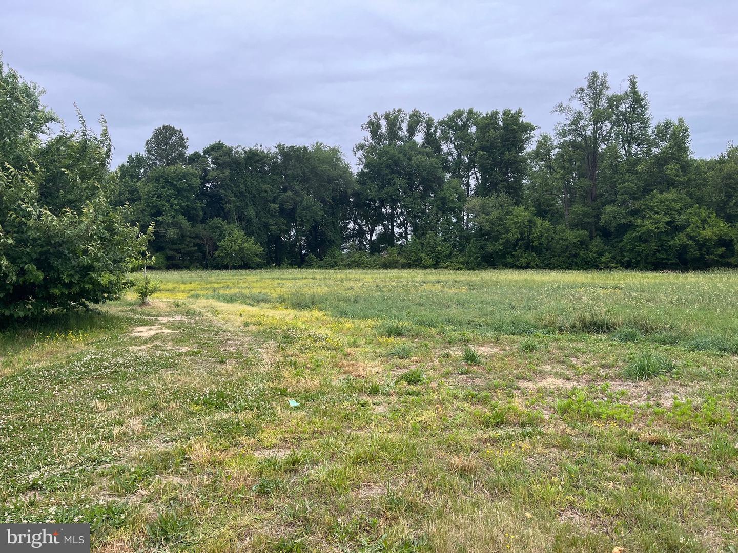 13006 Oakland Rd, Ridgely, MD, 21660