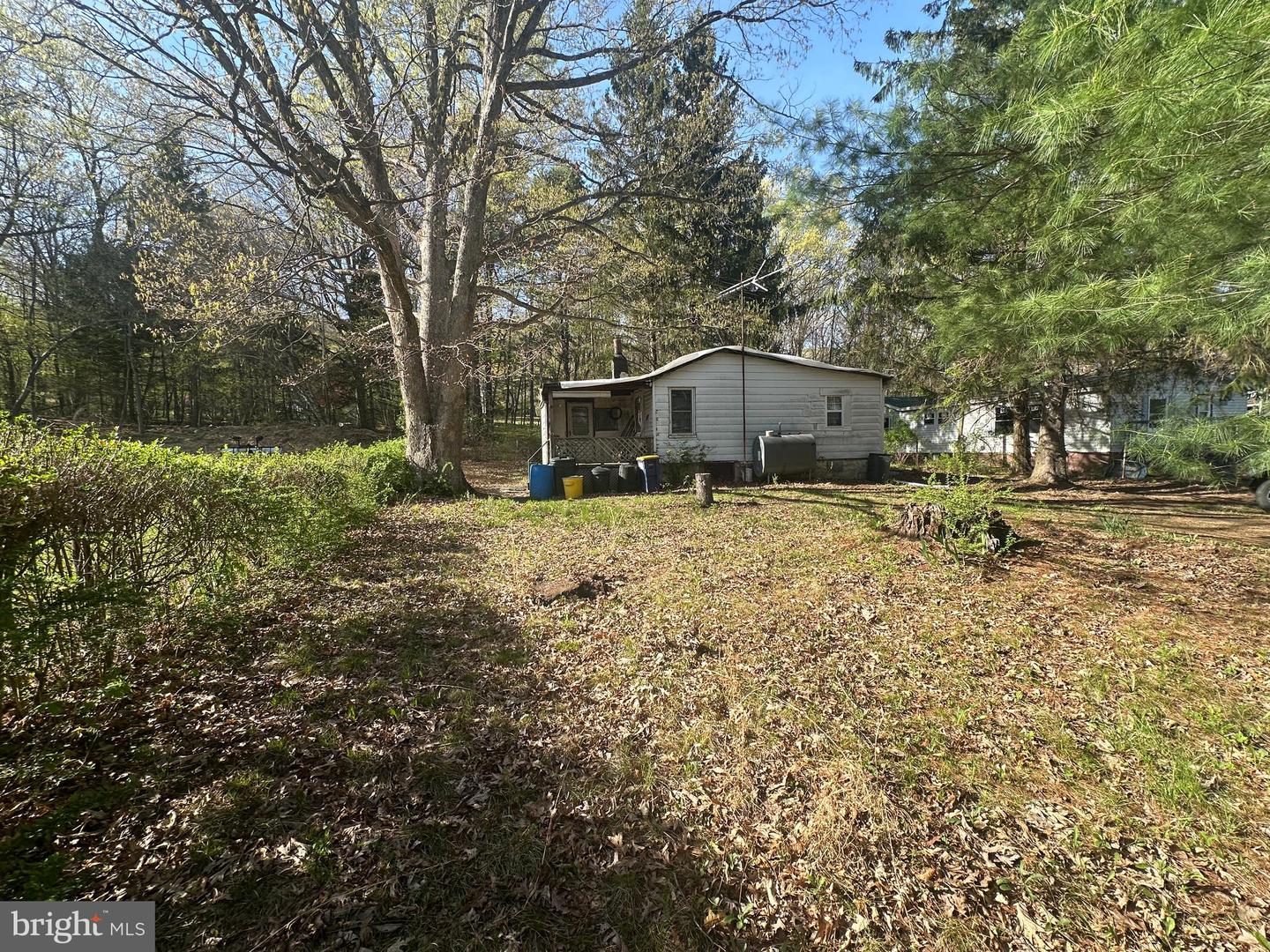 Listing image 1