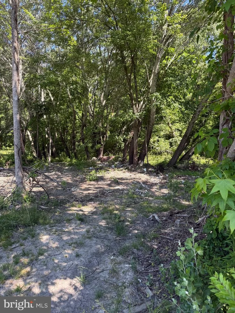 105 Barclay Cutoff Road, Barclay, MD, 21607