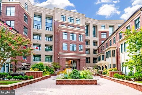 4750 41st St NW #507 Washington DC 20016