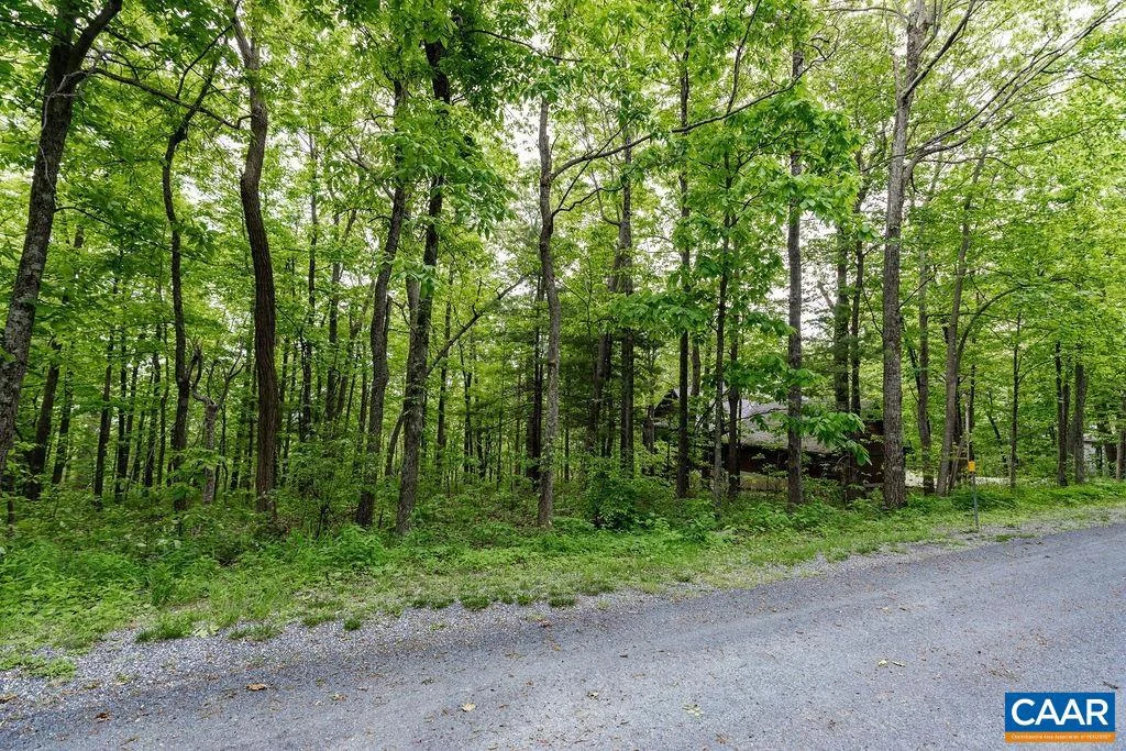 7 & 23 Wolftrap Ln Unit LOTS 52 & 53