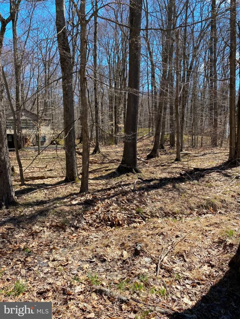 301 Tommy Lane, Pocono Lake, PA, 18347