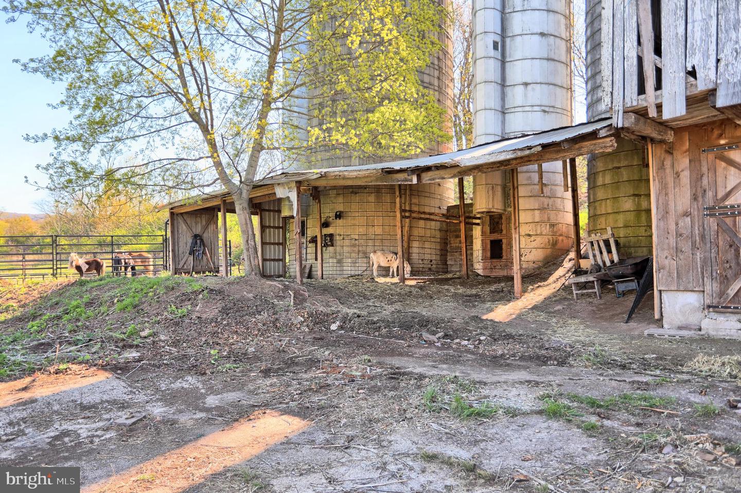 269 Hollow Road, Dornsife, Pennsylvania image 9