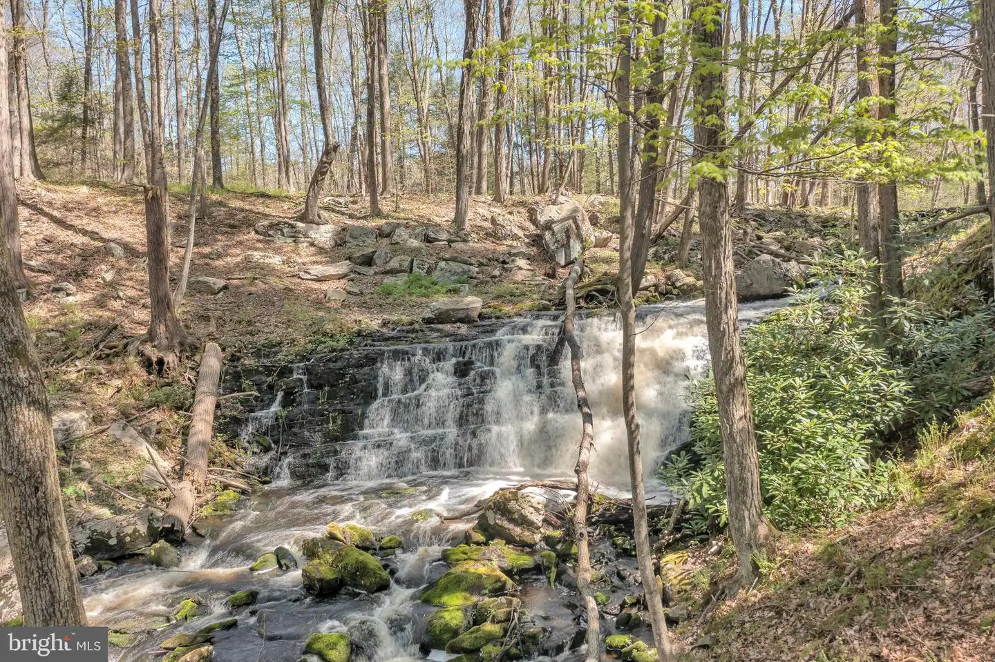 Serfas Drive, Stroudsburg, PA, 18360