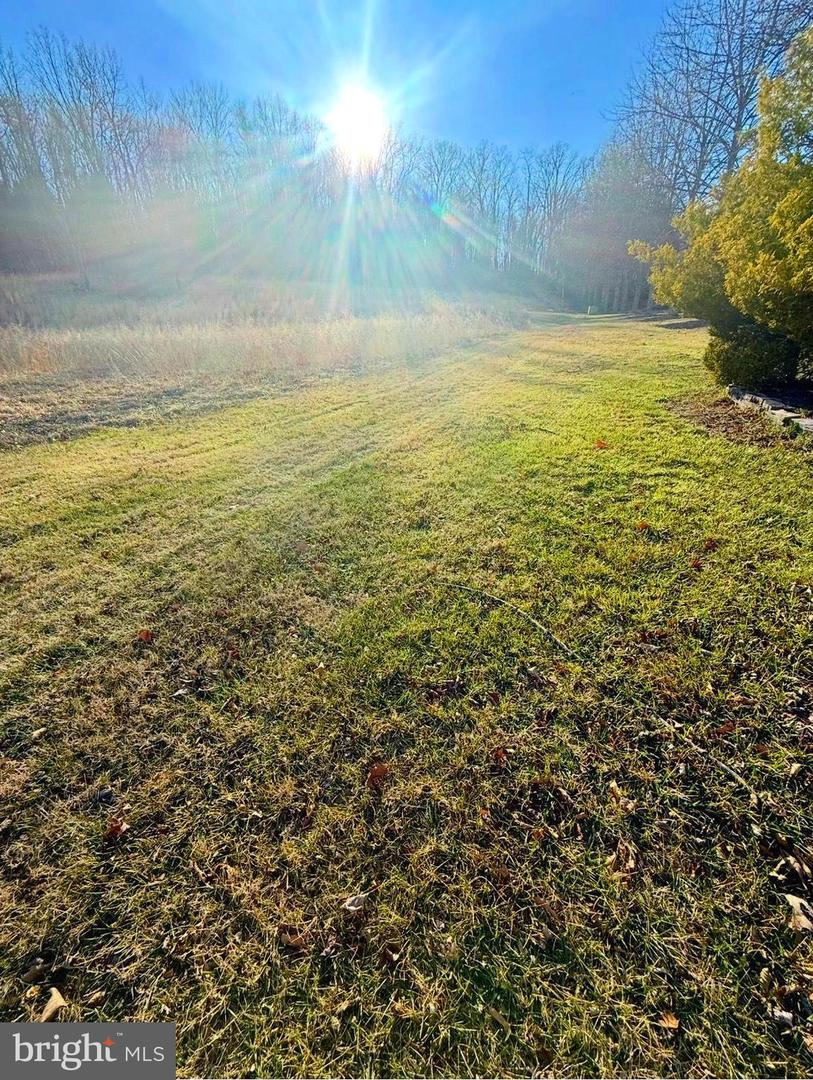 Winchester Road, Cresaptown, MD, 21502