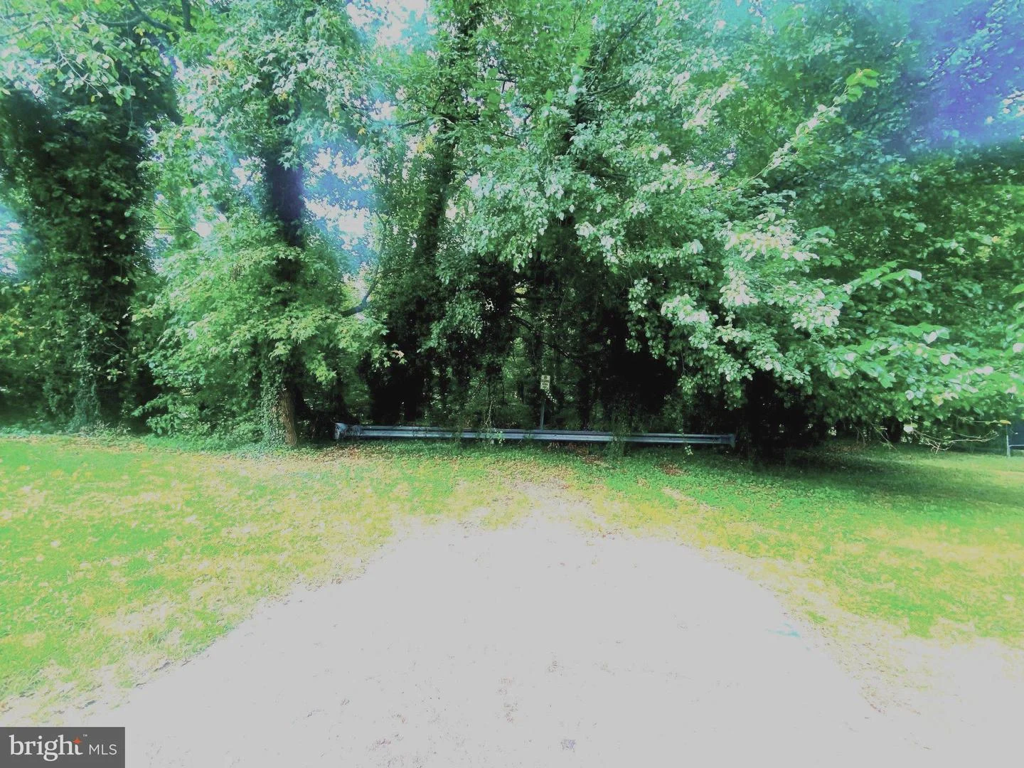 Springwood Drive
