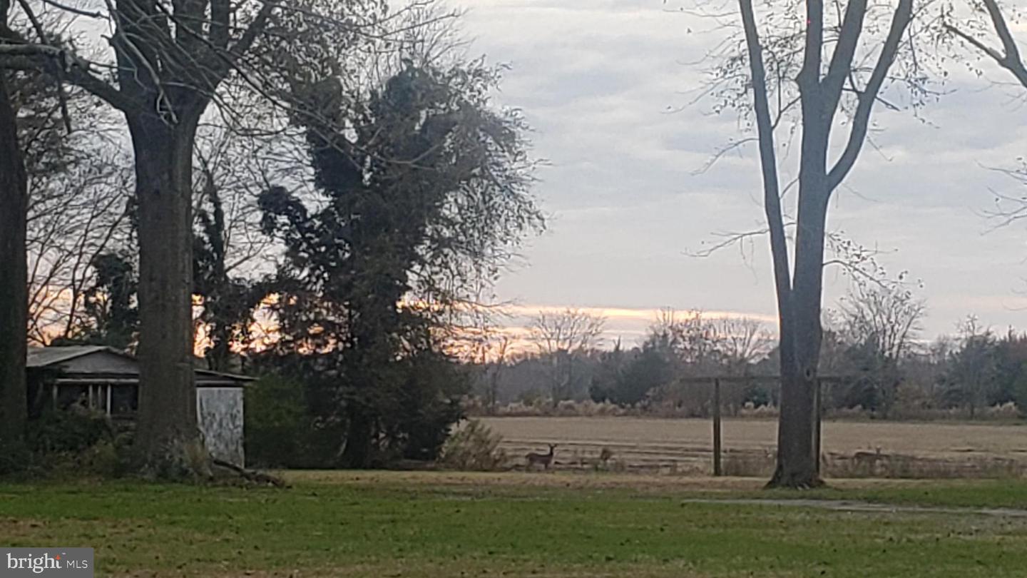 Photo 2 of 4 of 0 Lighthouse Rd land
