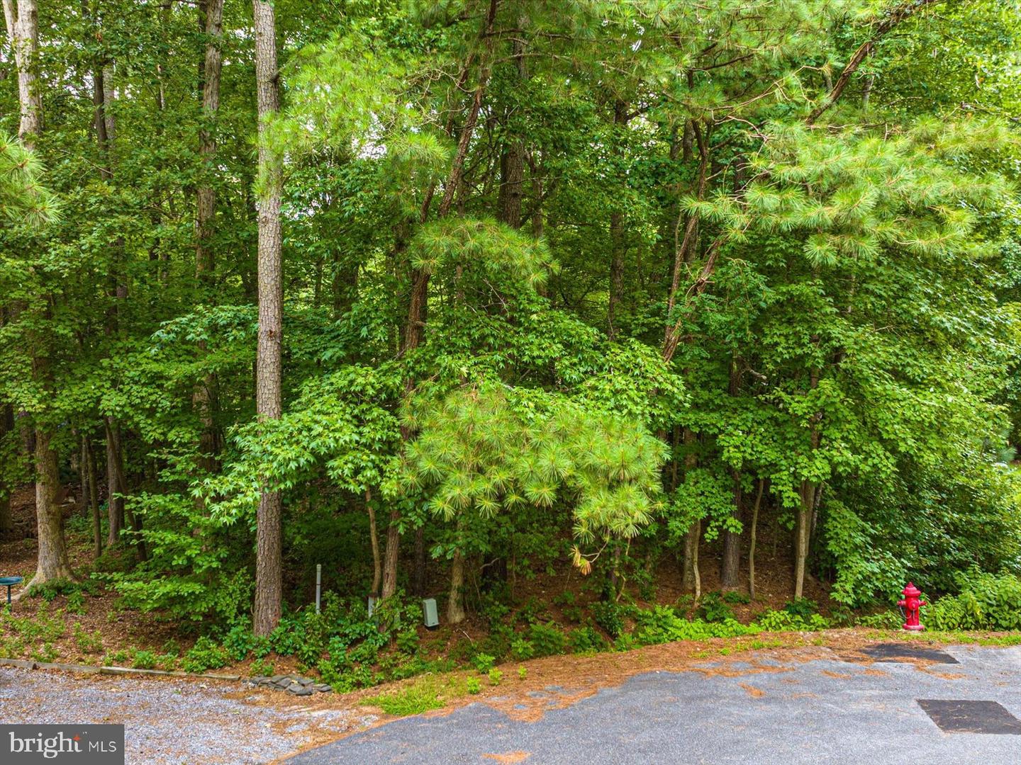 Photo 15 of 22 of 19 Twilight Ct land
