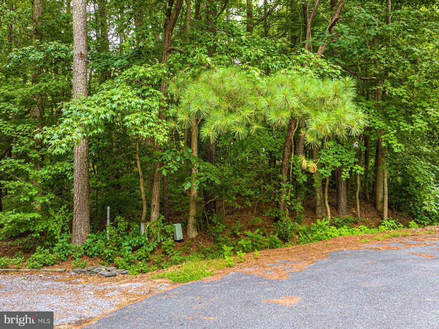 Photo 10 of 22 of 19 Twilight Ct land